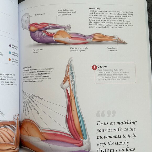 Science of Pilates: Understand the Anatomy and Physiology - Picture 3 of 4
